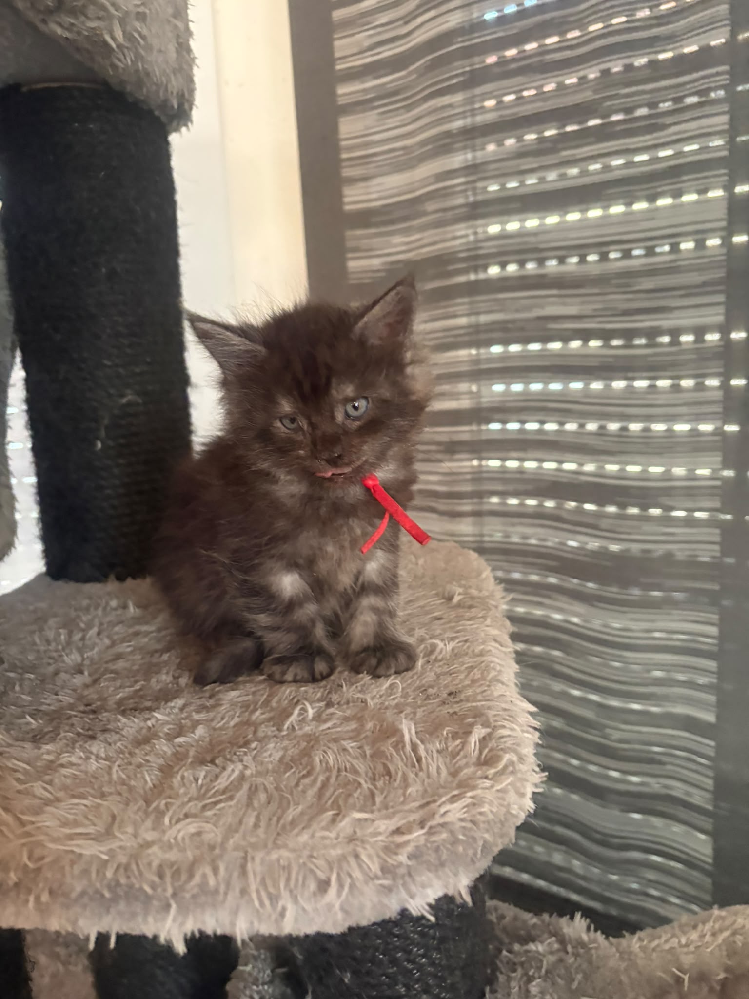 Foto von Zoe
