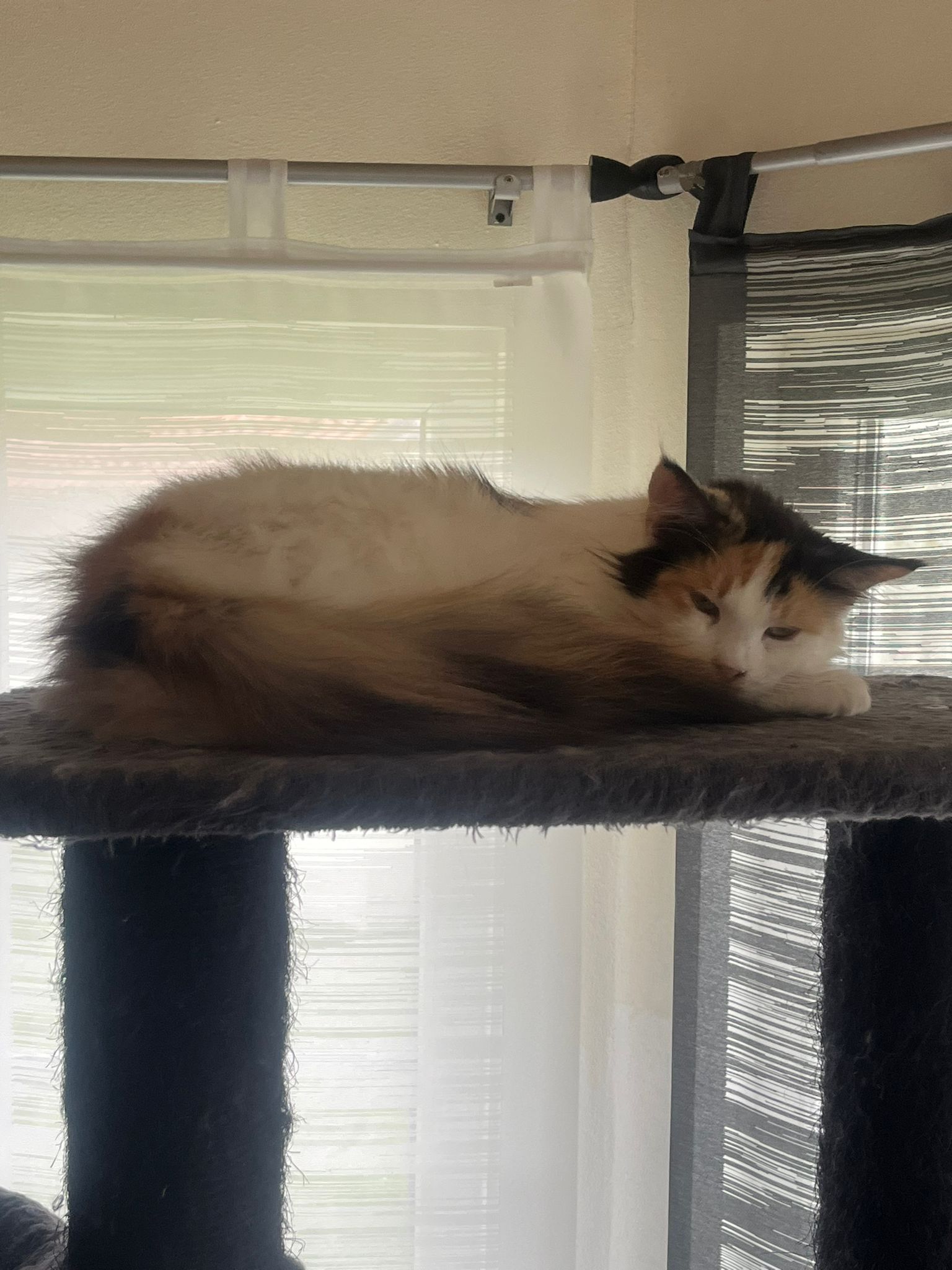 Foto von Caitlyn vom Sonnabuggl