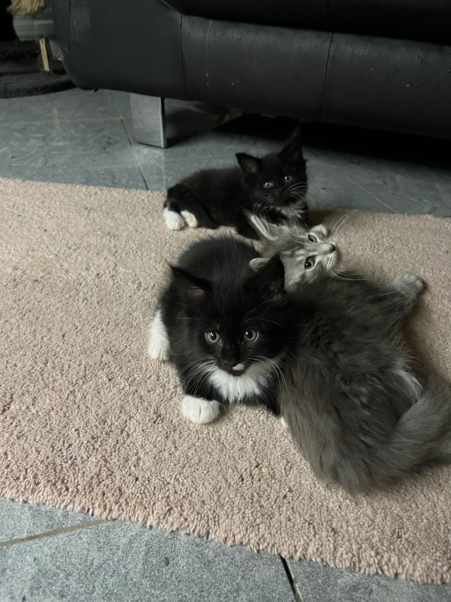 Foto von Percy Jackson